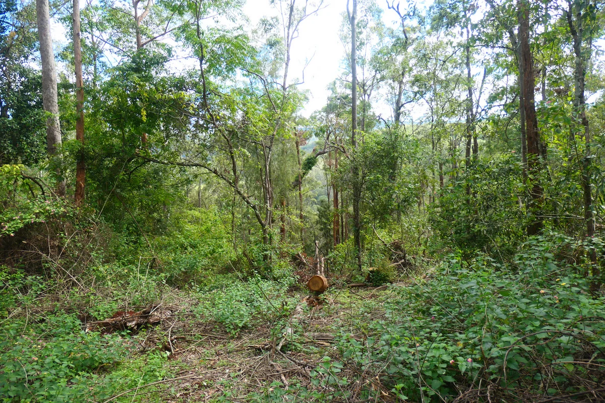 Image 15