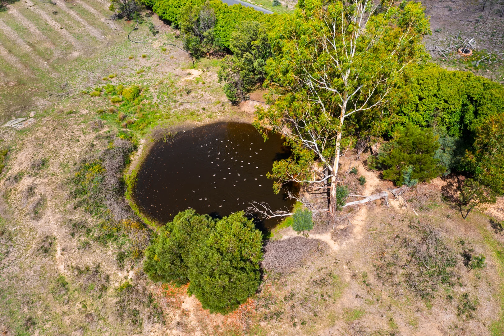 Additional image 21 of 1497 Coxs Creek Road, Rylstone NSW 2849