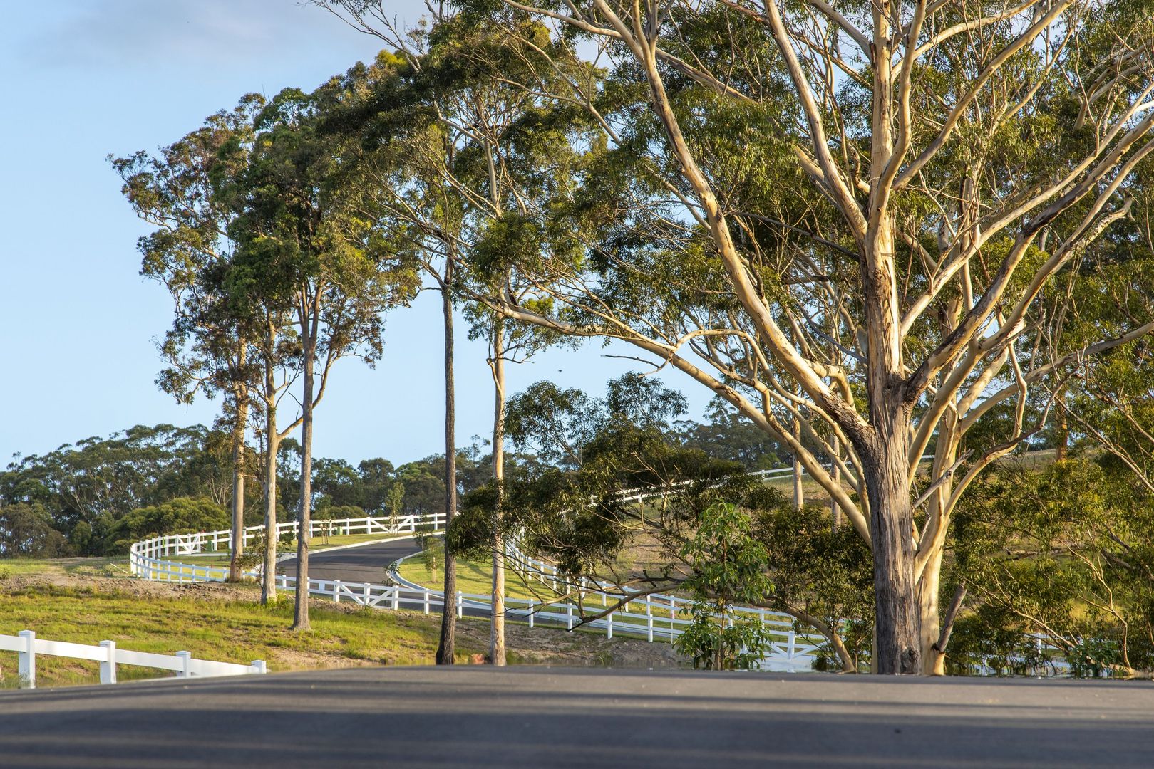 1 Tanglewood Drive, Tanglewood NSW 2488 Vacant Land for Sale