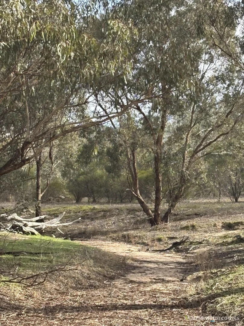 Image 11