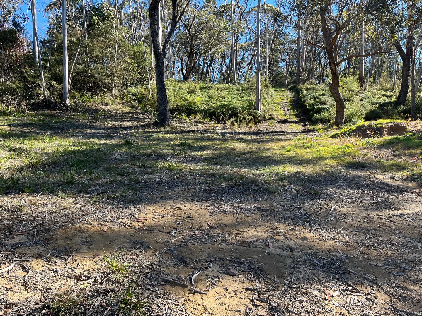 Vacant land in 11-15 Lomandra Place, KATOOMBA NSW, 2780