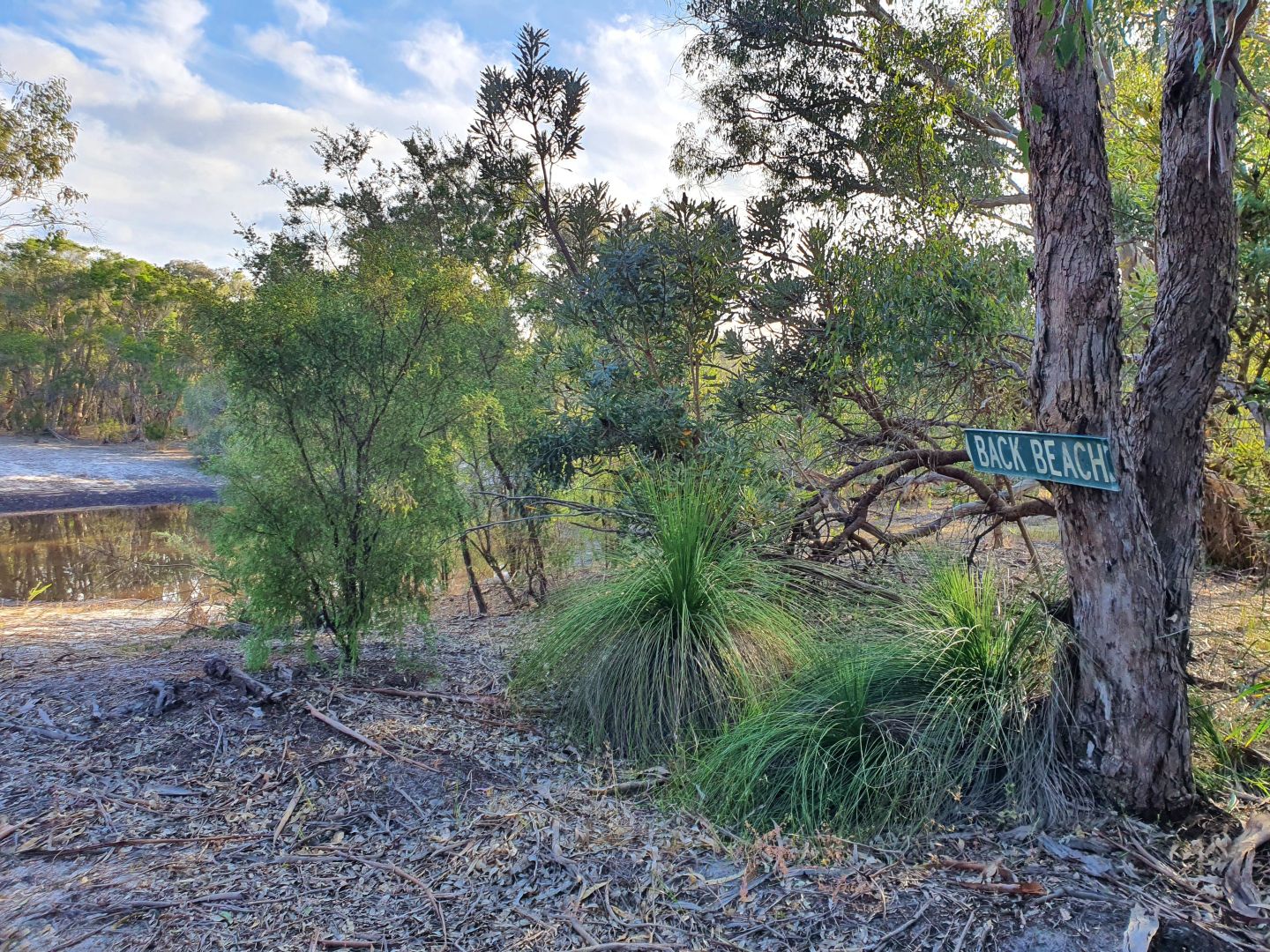 Lot 733 Tangletoe Road, Muckenburra WA 6503, Image 2