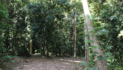 Picture of Lot 7 Bingil Bay Road, BINGIL BAY QLD 4852