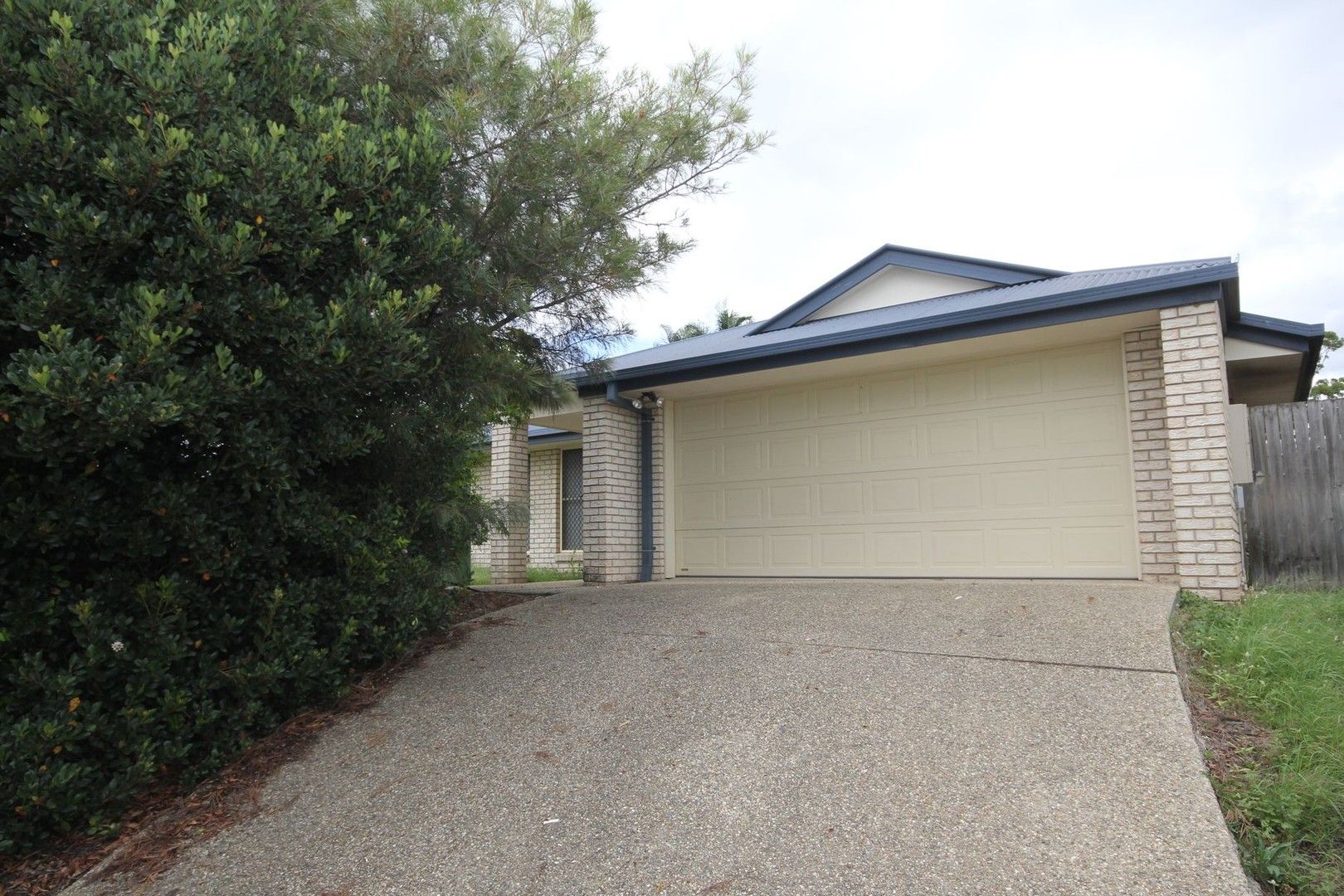 14 Connolly Court, Collingwood Park QLD 4301, Image 0