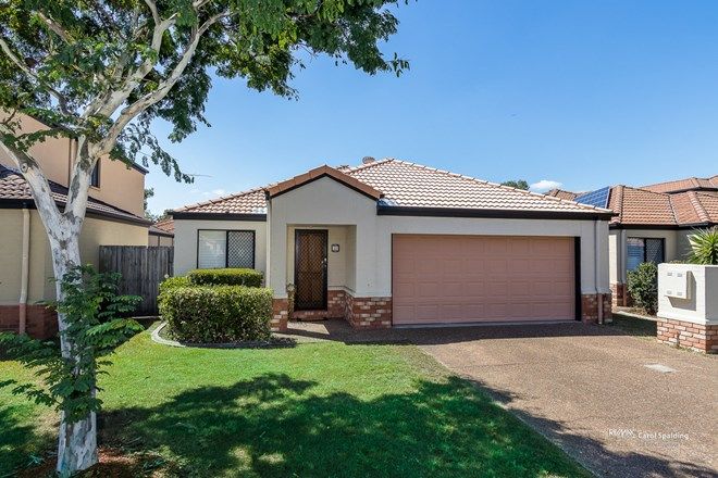 Picture of 22 Charlotte Street, CARINA QLD 4152