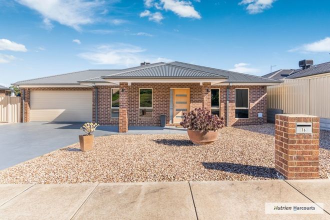 Picture of 16 Paperbark Court, BROADFORD VIC 3658