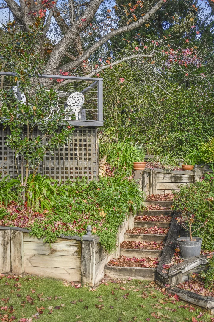 Image 33
