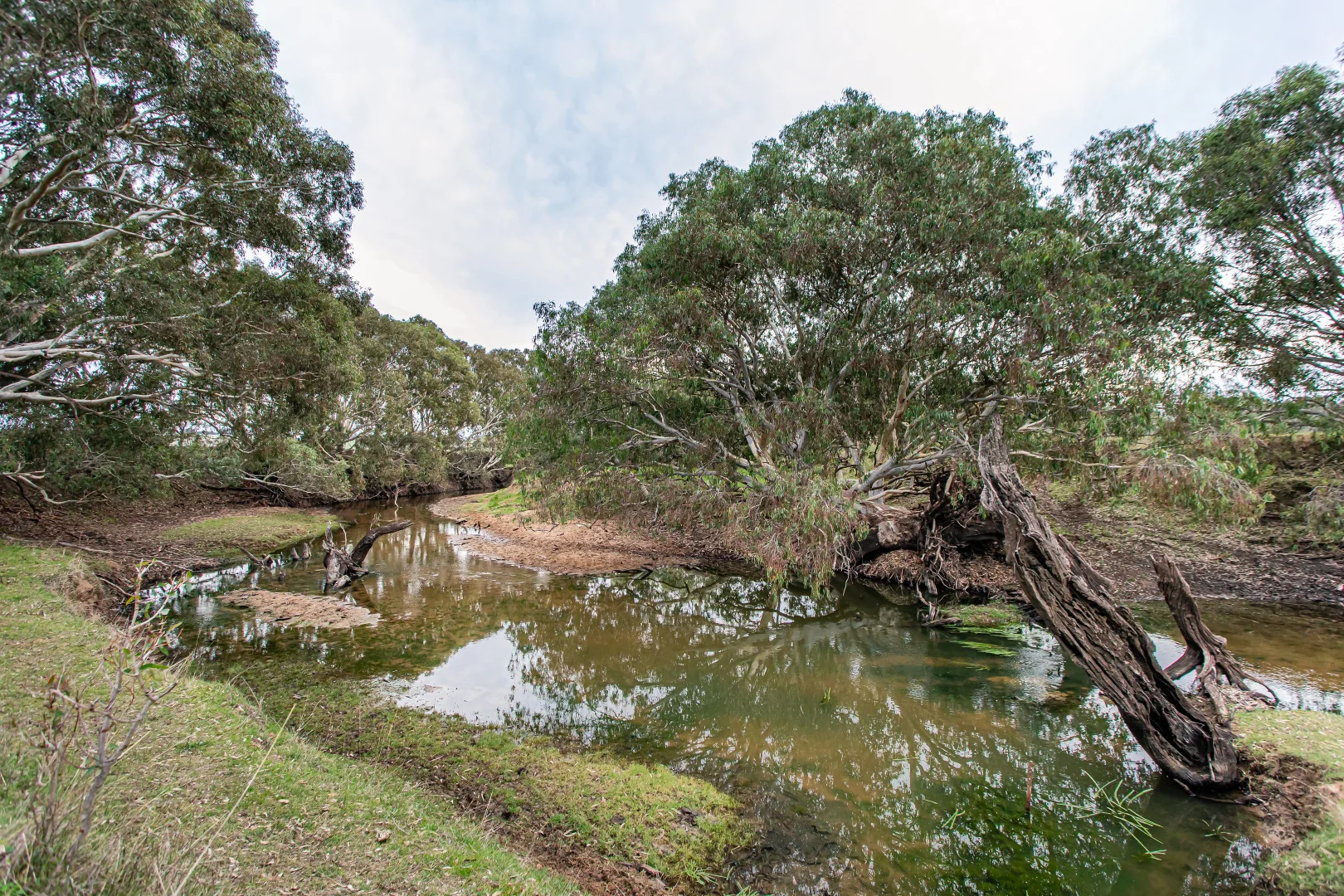 Image 12