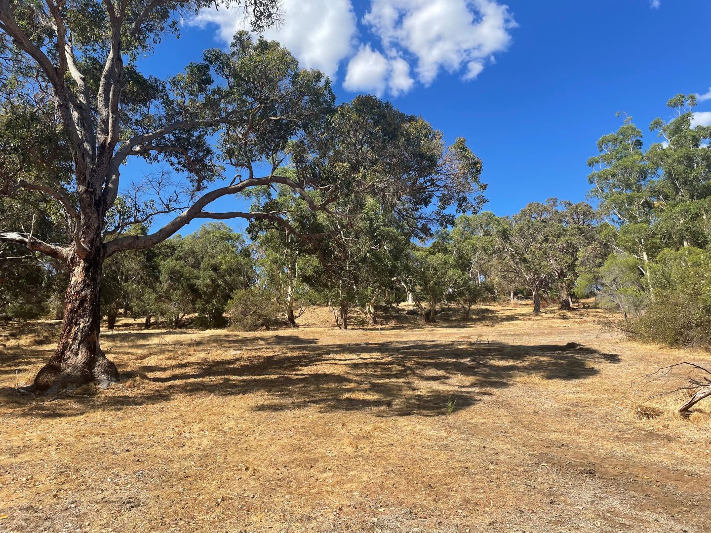 Lot 41/Nukklgup Loop, Yallingup WA 6282, Image 2