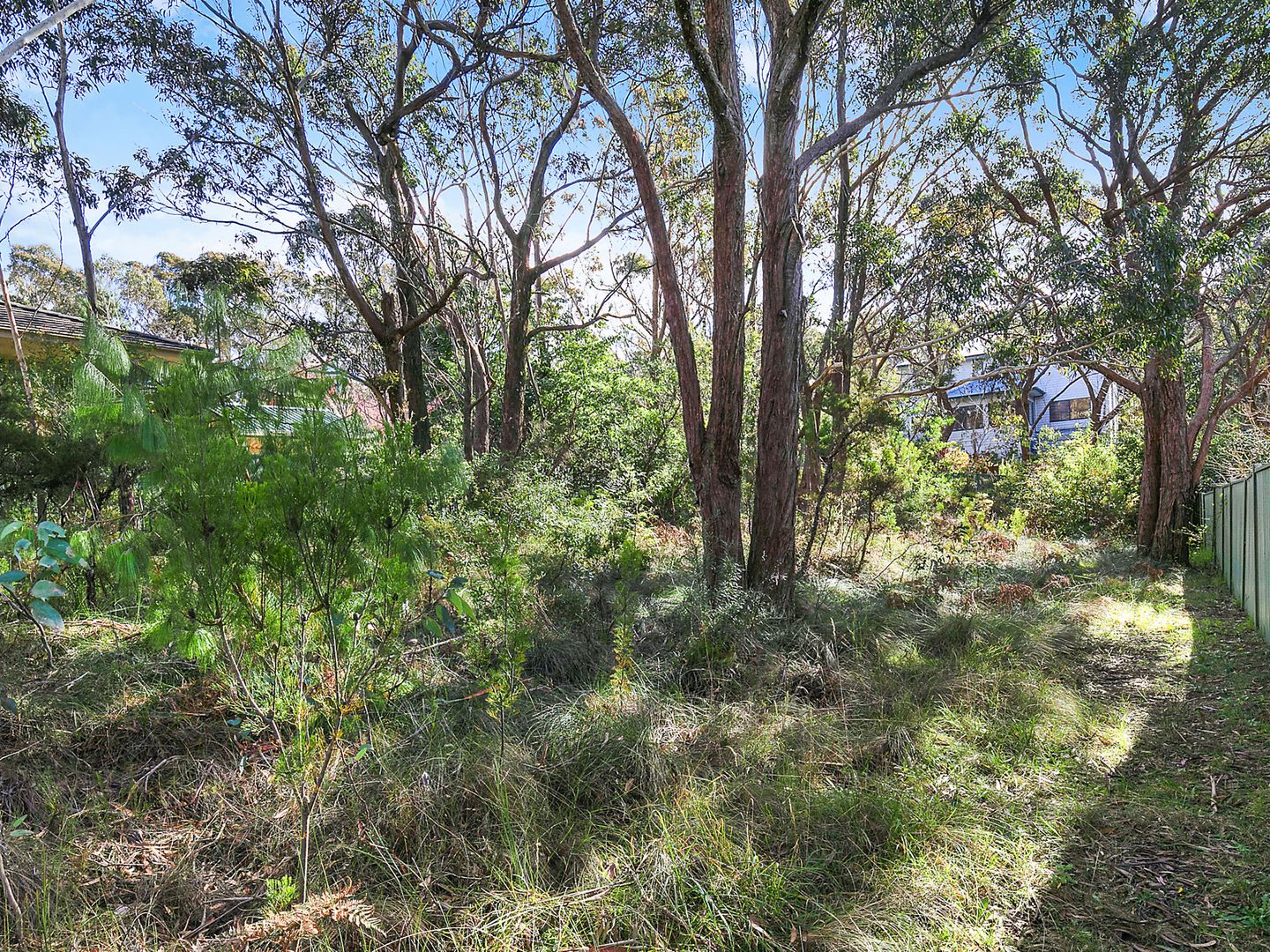 11 Cook Road, Wentworth Falls NSW 2782, Image 2