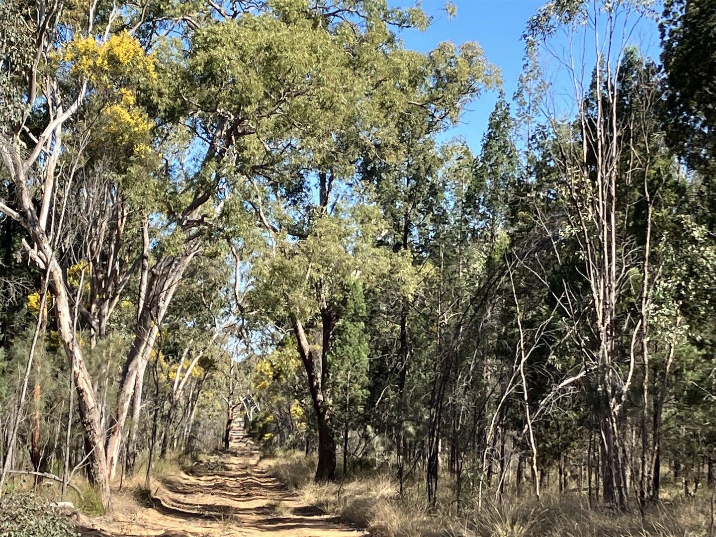 98/L98 Groszmann Road, Western Creek QLD 4357, Image 2