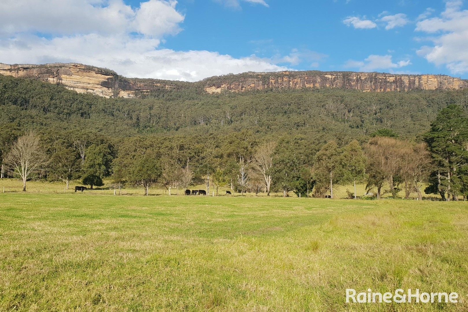 Lot 201 Jarretts Road, Kangaroo Valley NSW 2577, Image 0