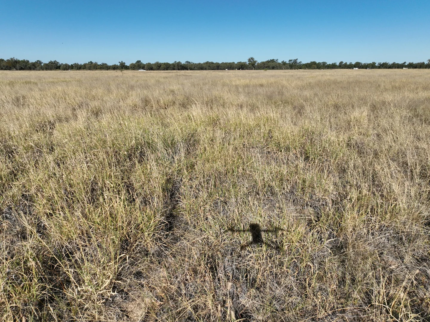 Image 25