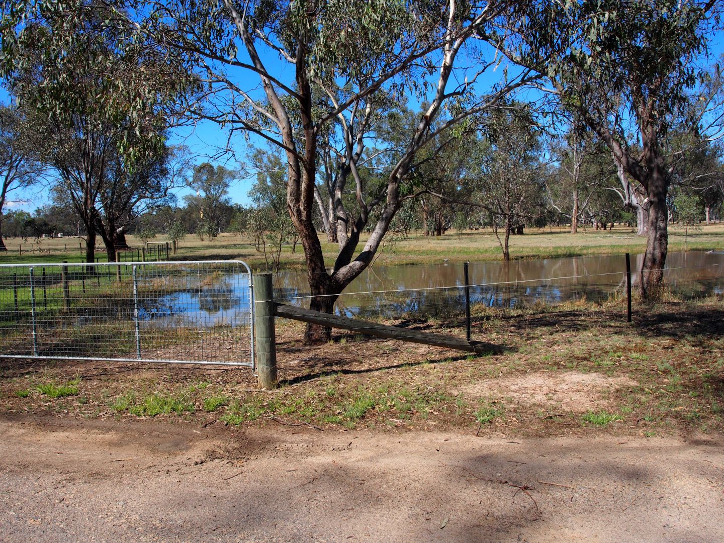 37 Forshaw Road, Baddaginnie VIC 3670, Image 2