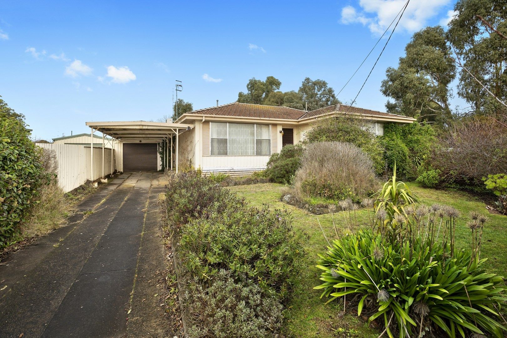 8 Sears Court, Colac VIC 3250, Image 0
