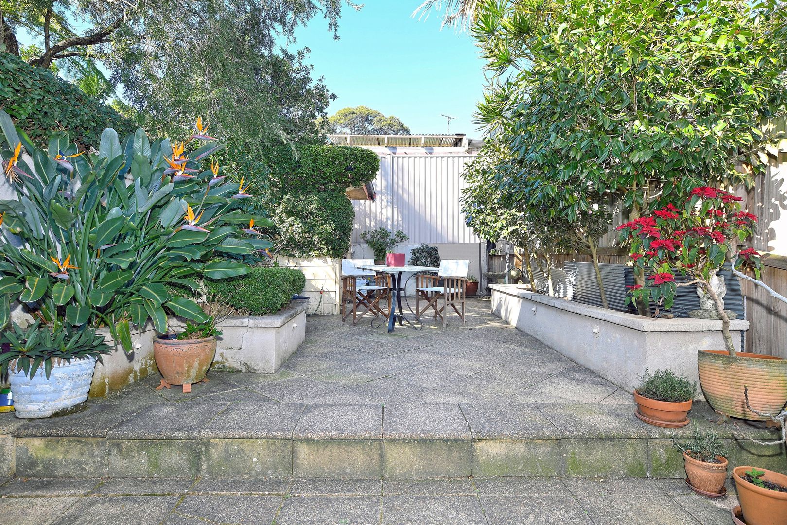 17 Randwick Street, Randwick NSW 2031, Image 2