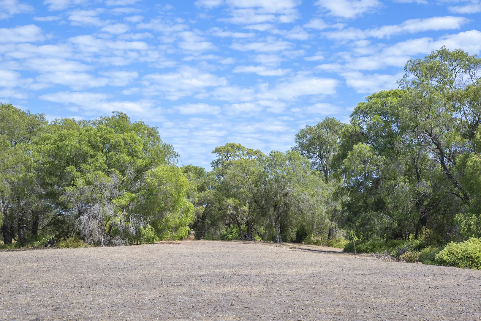Additional image 8 of Lot 58 Caves Road, Kealy WA 6280