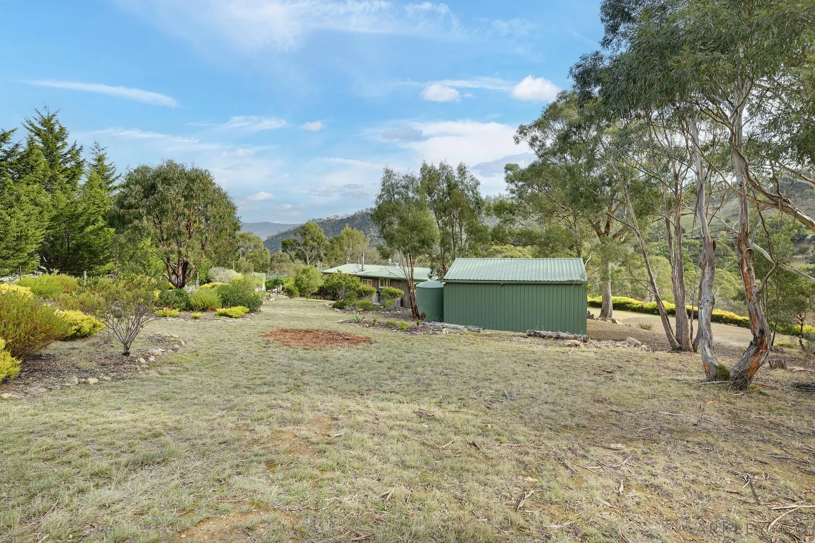 Image 33