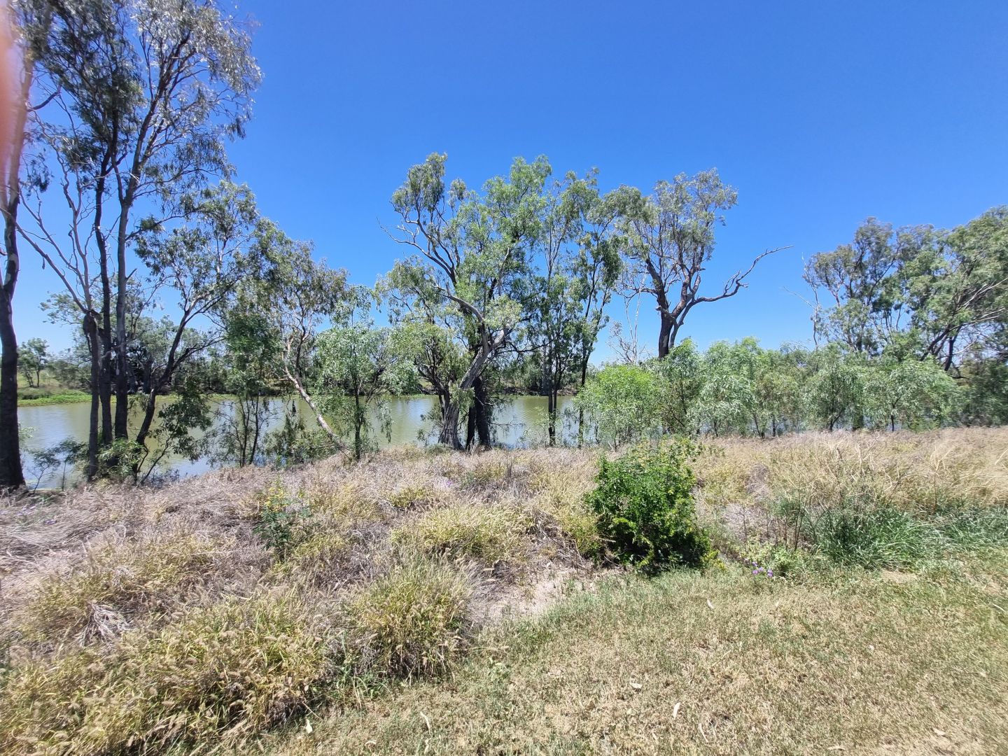 Water Park Estate, Goondiwindi QLD 4390, Image 1