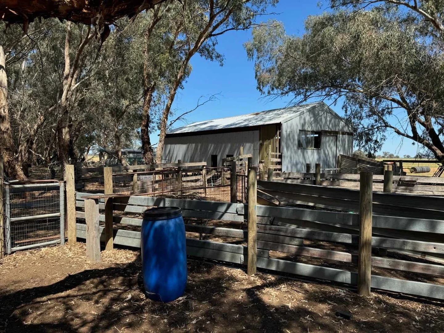 Image 11