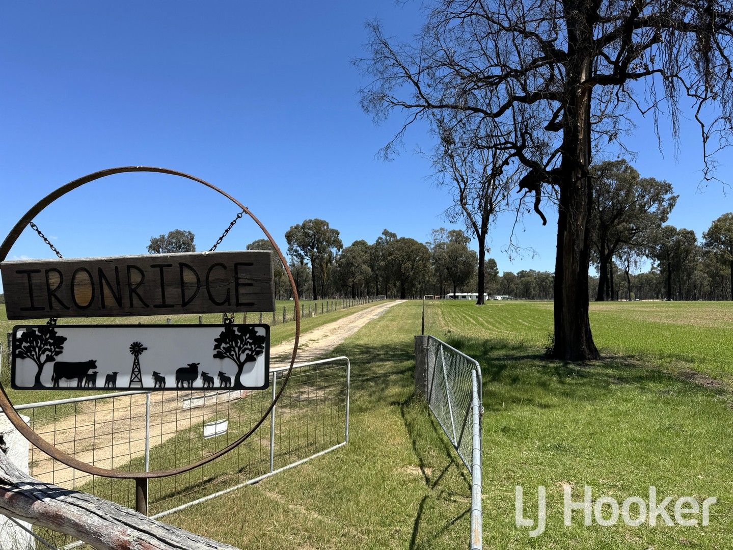 4 bedrooms Rural in 200 Aberdeen Road STANBOROUGH NSW, 2360