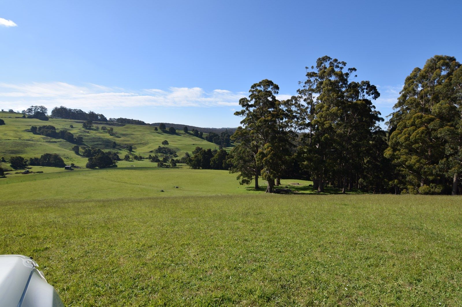 920 Murchison Highway, Elliott TAS 7325, Image 2