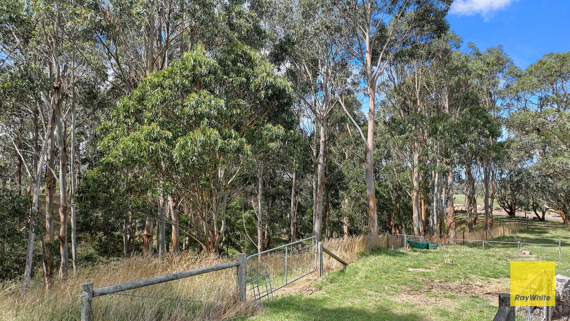 Additional image 25 of 74A Mckanes Road, Agnes VIC 3962