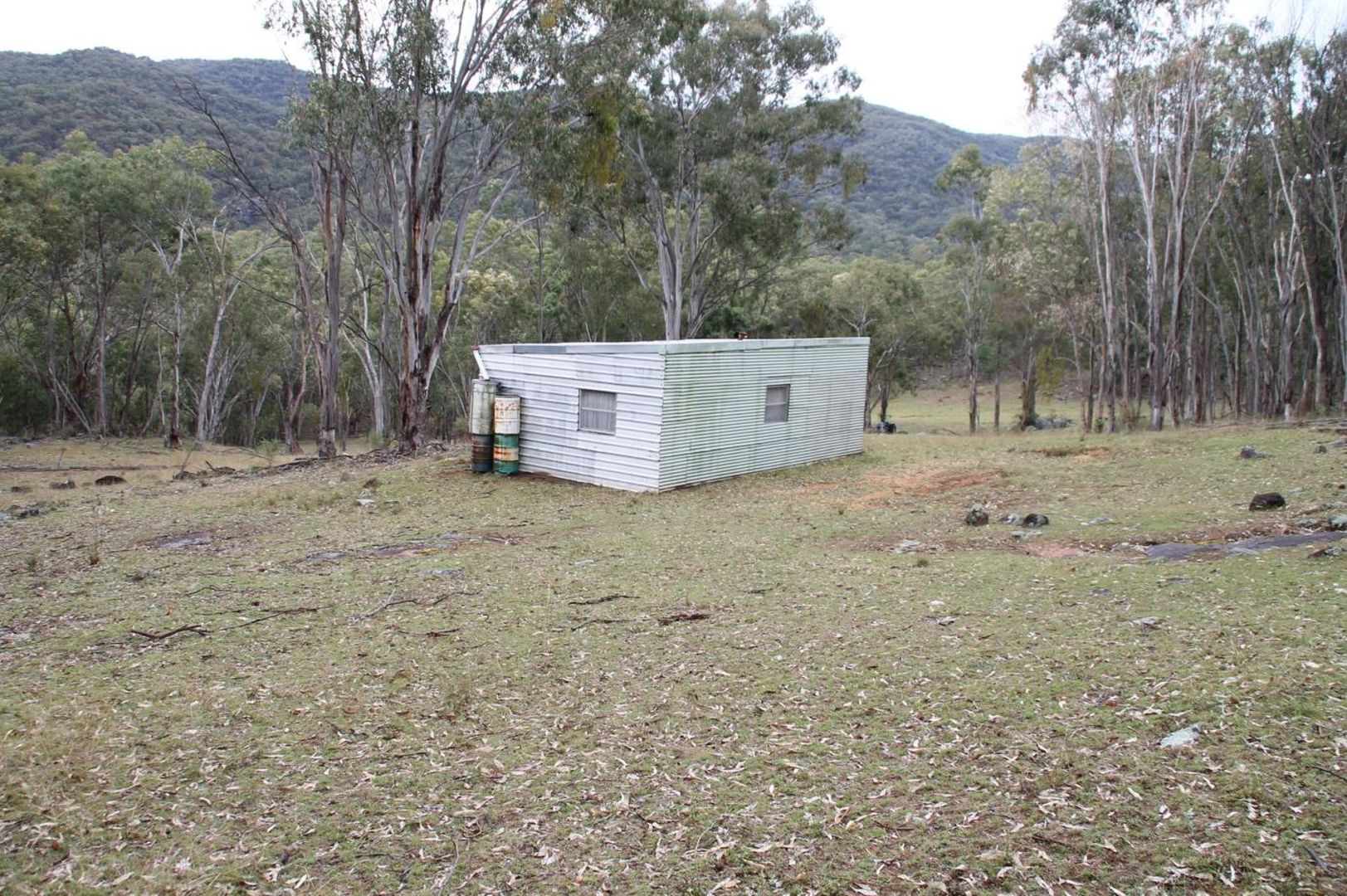 920 Bluff River Road, Tenterfield NSW 2372, Image 2