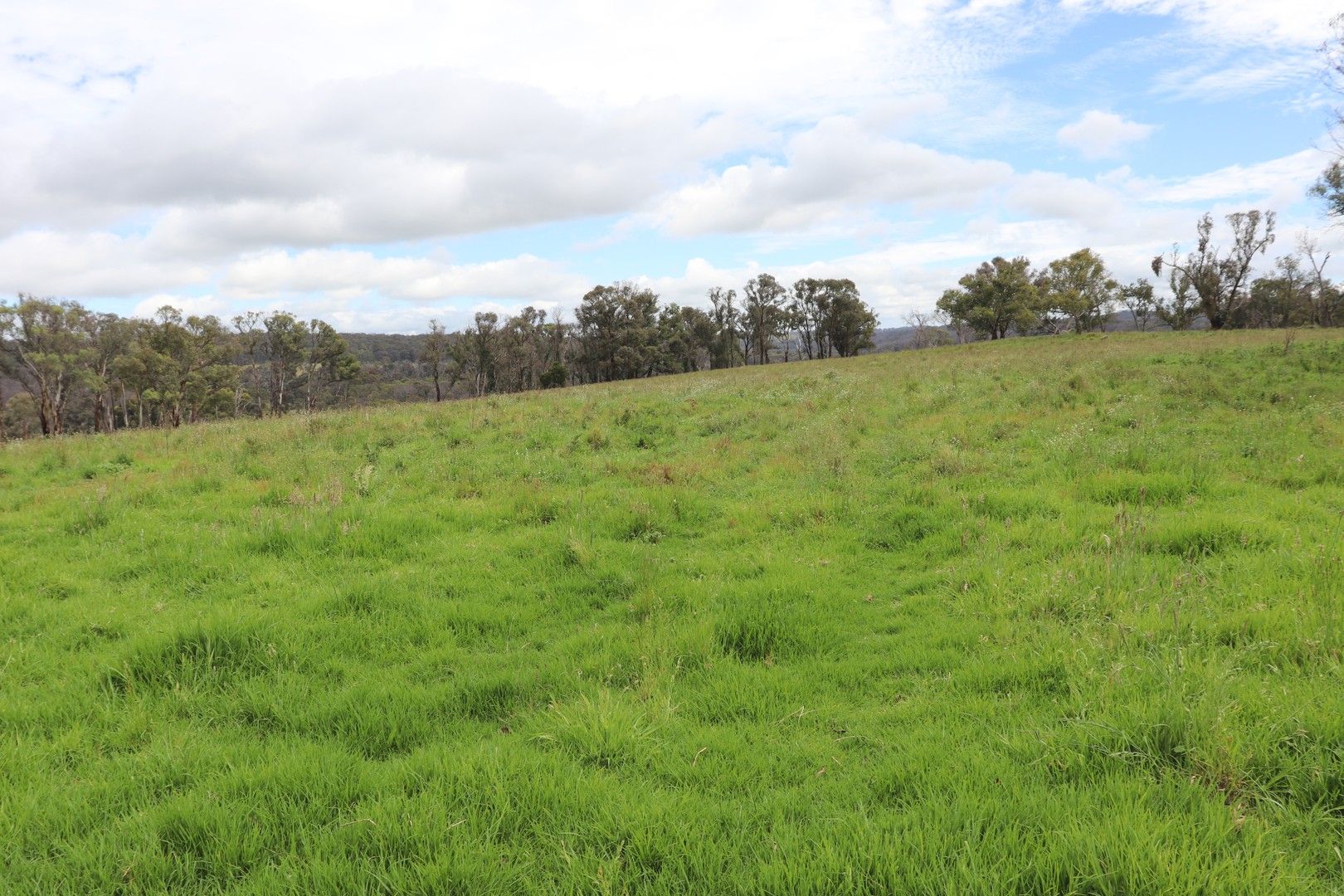 Square Range Road, Mount Mitchell NSW 2365, Image 0