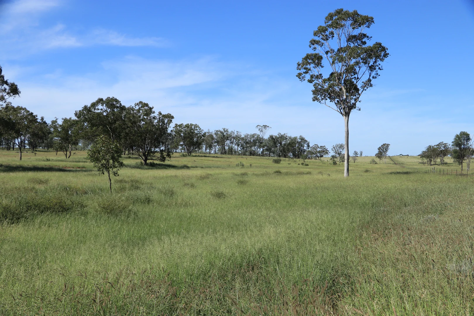 Additional image 26 of Roma QLD 4455