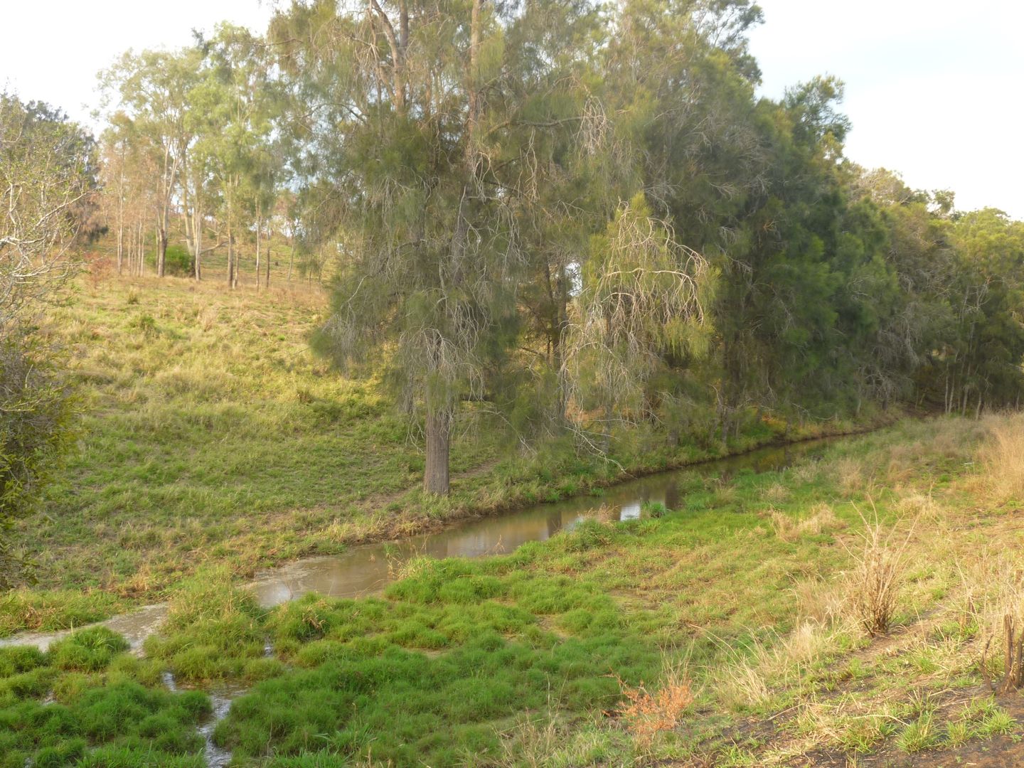 Lot 147 WILSON VALLEY ROAD, Coalstoun Lakes QLD 4621, Image 2