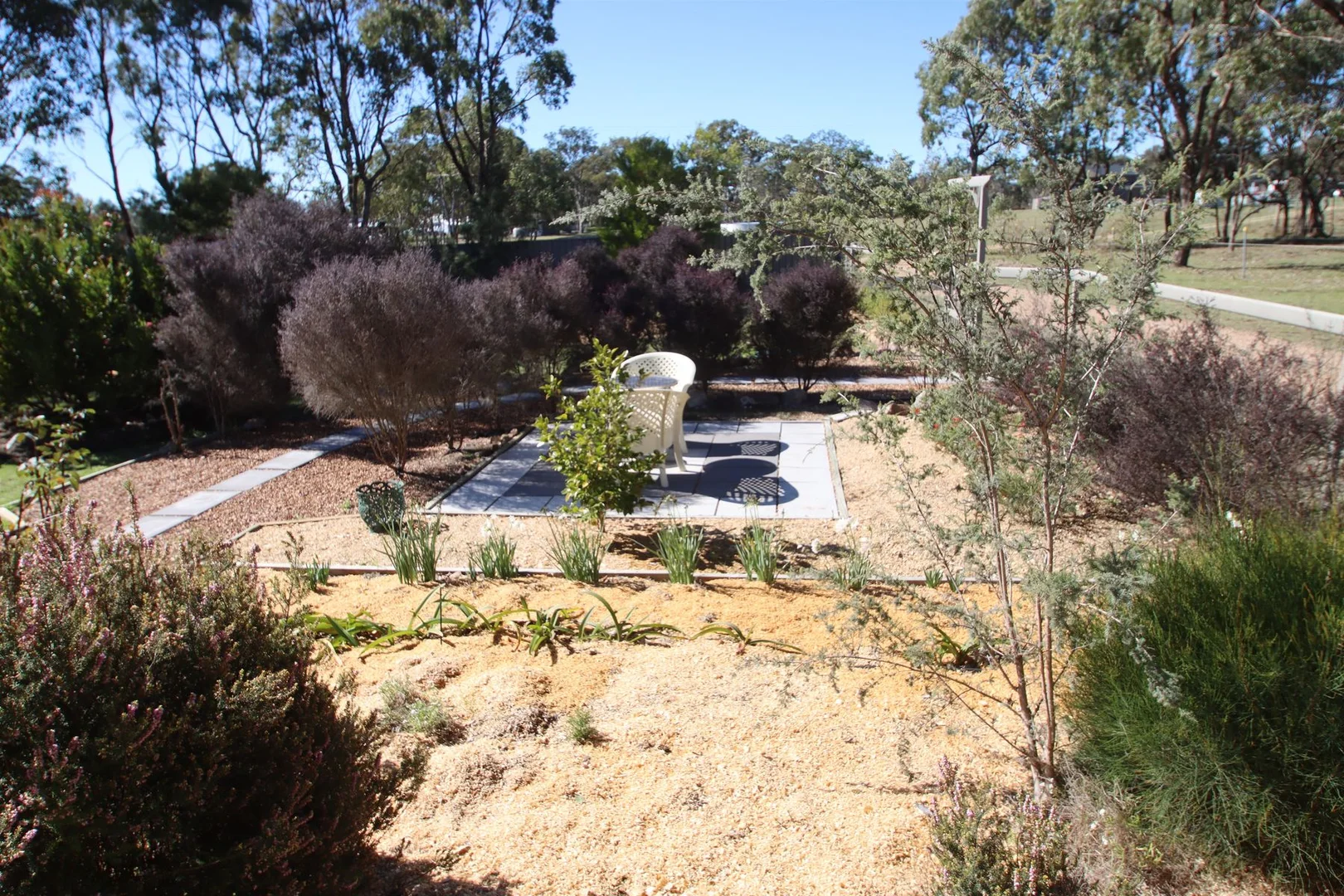 Image 30