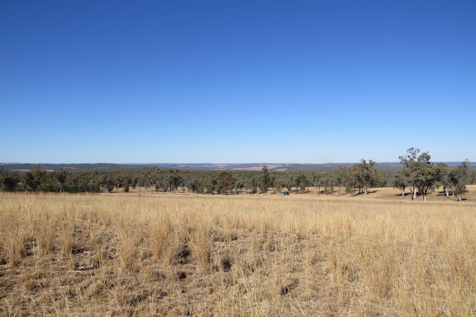 Lot 29 Burundah Mt Estate, Warialda NSW 2402, Image 2