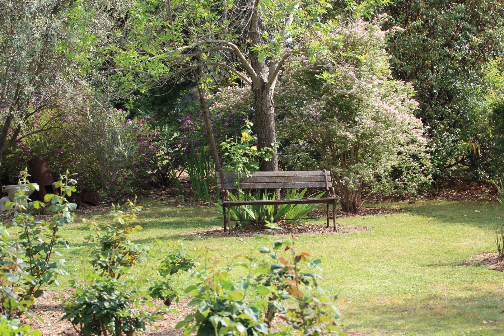 Image 21