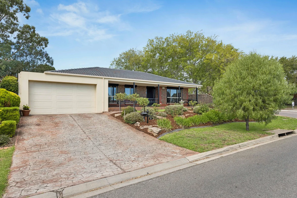 31 Hillcott Avenue, Wynn Vale SA 5127