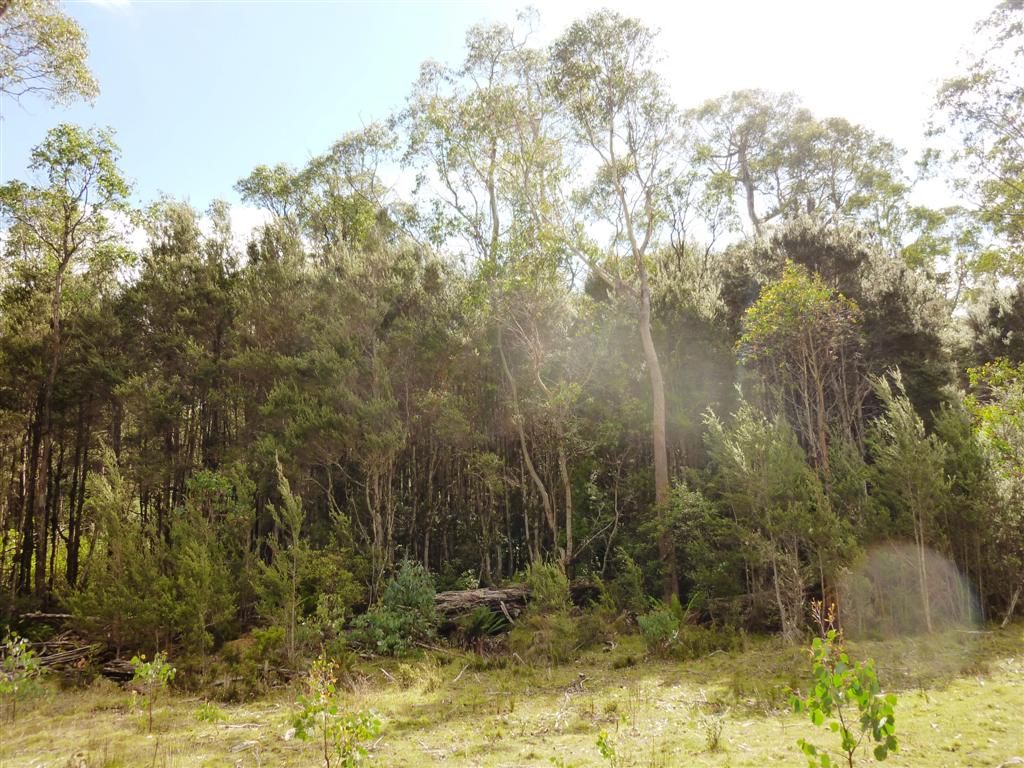 . Cradle Mountain Road, MOINA TAS 7310, Image 0