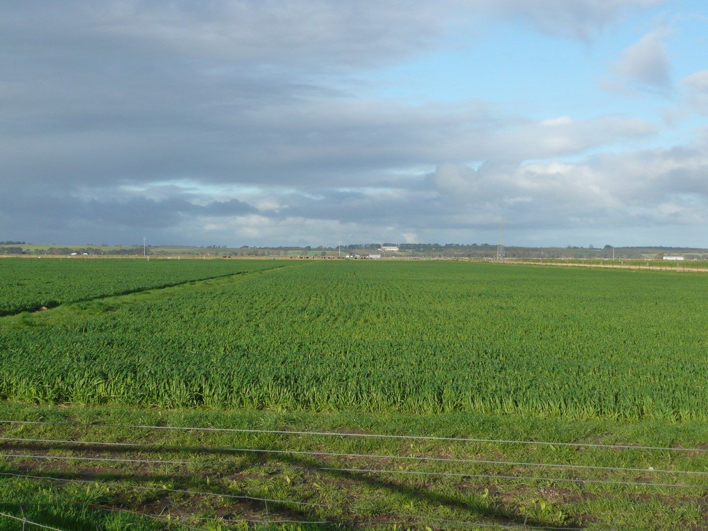 Lot 1 Govt Road, Naracoorte SA 5271, Image 0