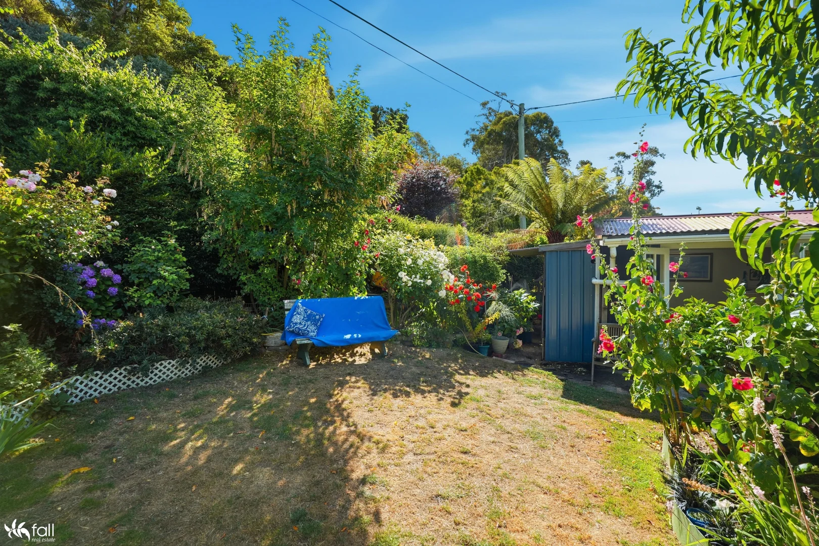 Image 29