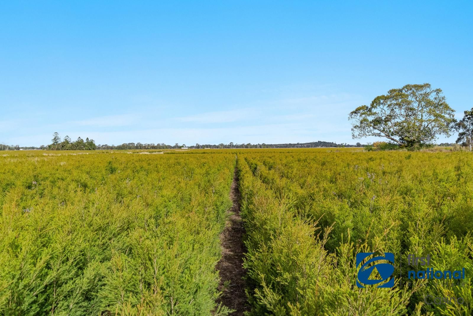 Codrington Lane, Codrington NSW 2471 Specialist Farm for Sale
