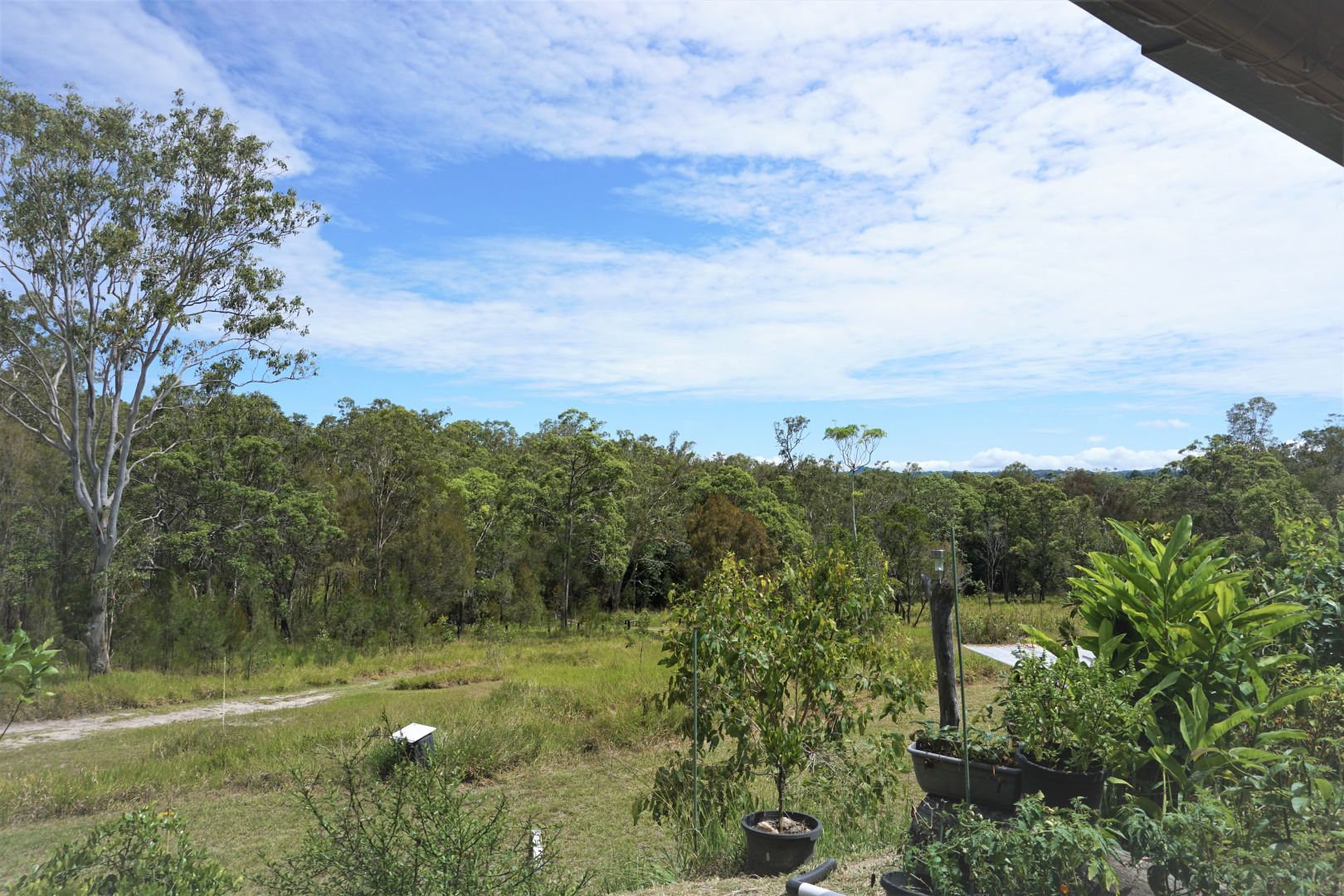 109 Jerome Road, Barrine QLD 4872, Image 2