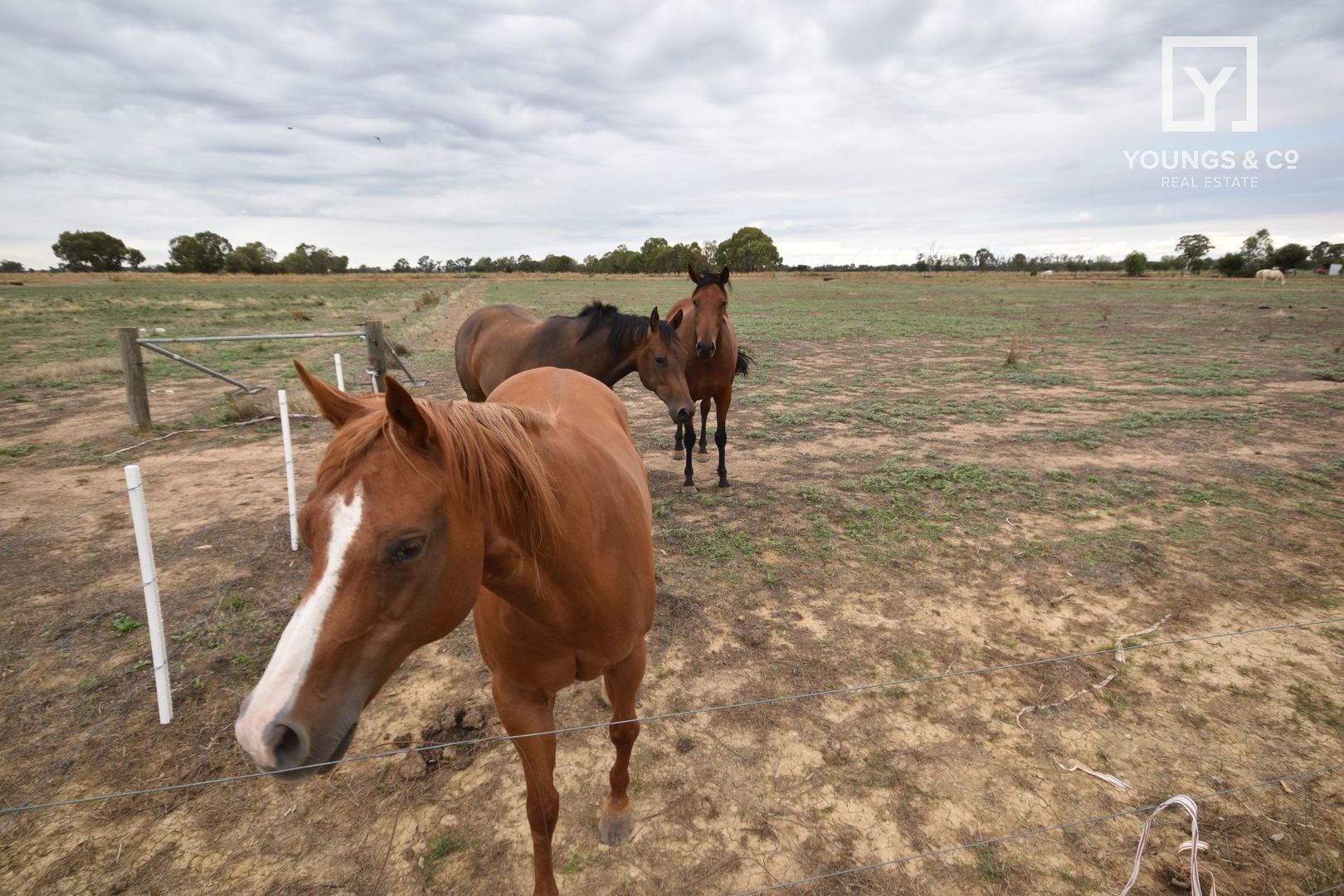 Lot 2/50 Cruse Road, Cooma VIC 3616, Image 1