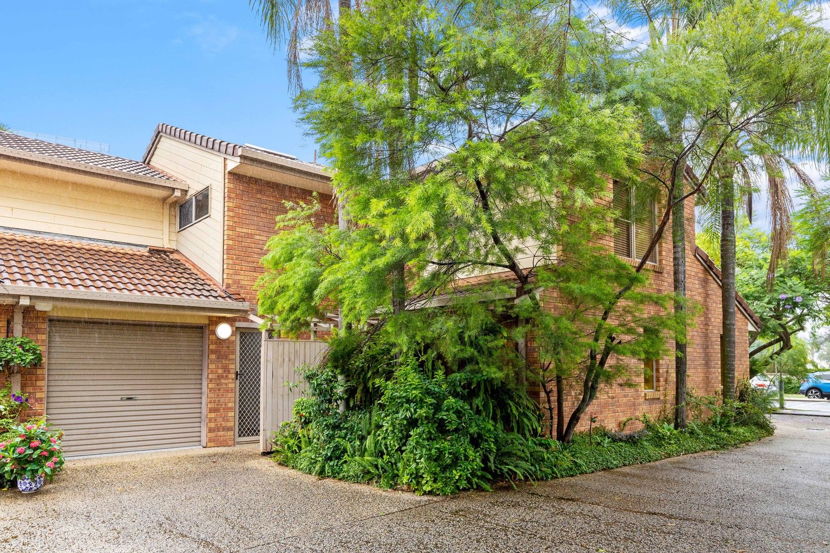 3/10 Mungar Street, Maroochydore QLD 4558 House For Rent 650 Domain