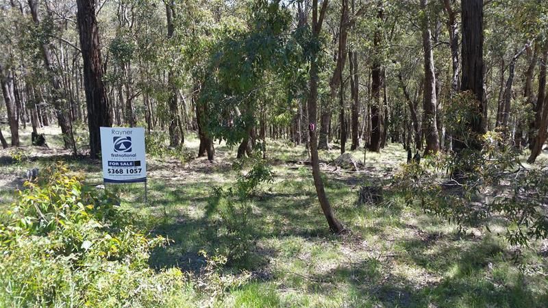 Lot 169 Acacia Avenue, Dales Creek VIC 3341, Image 0