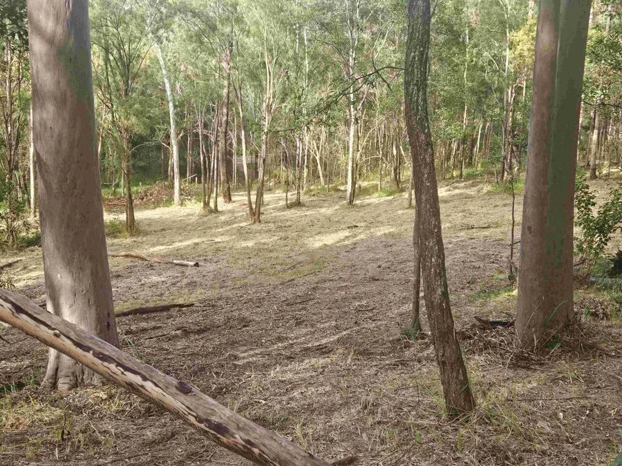 Image 6