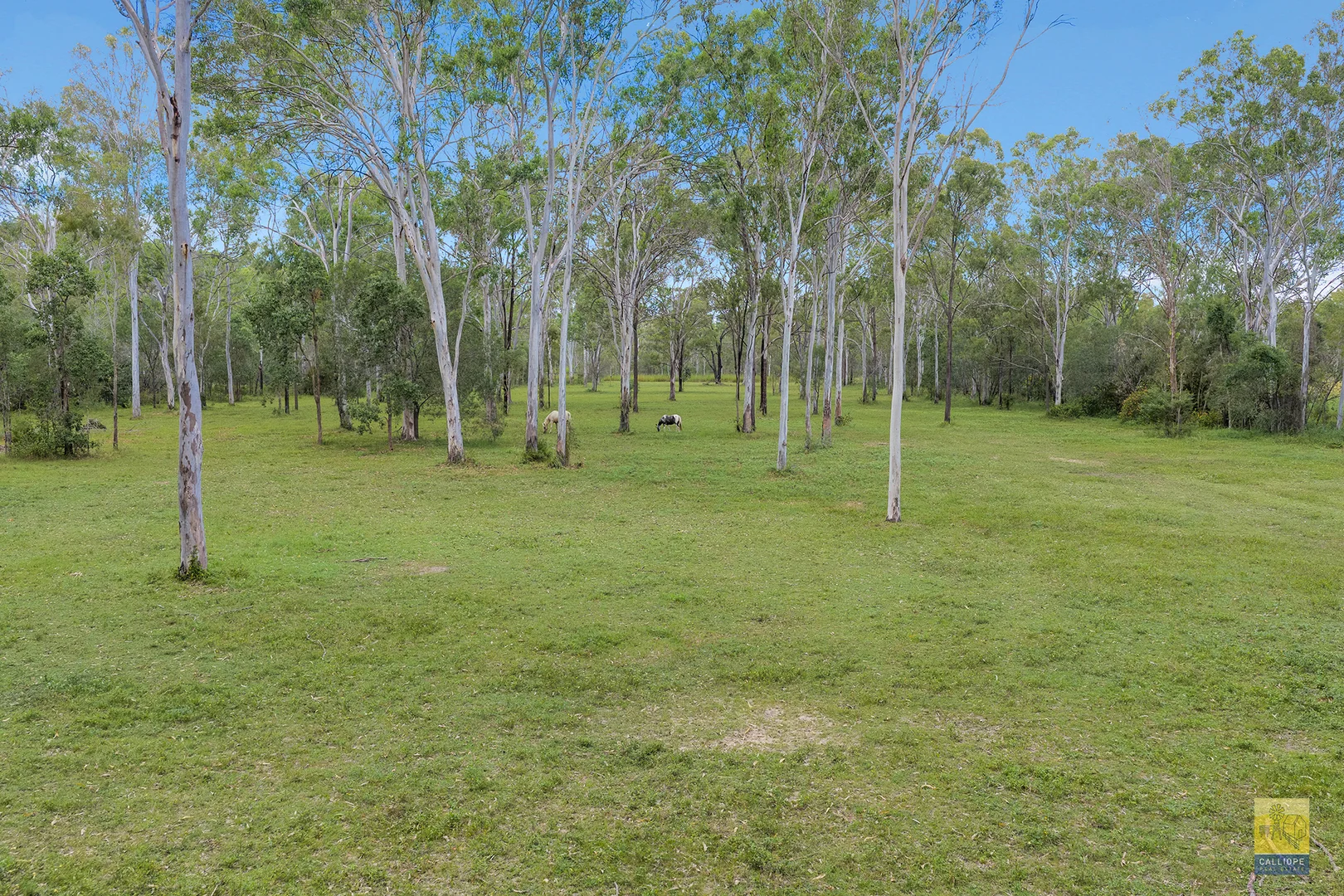 Additional image 15 of 25 Gehrke Road, Burua QLD 4680