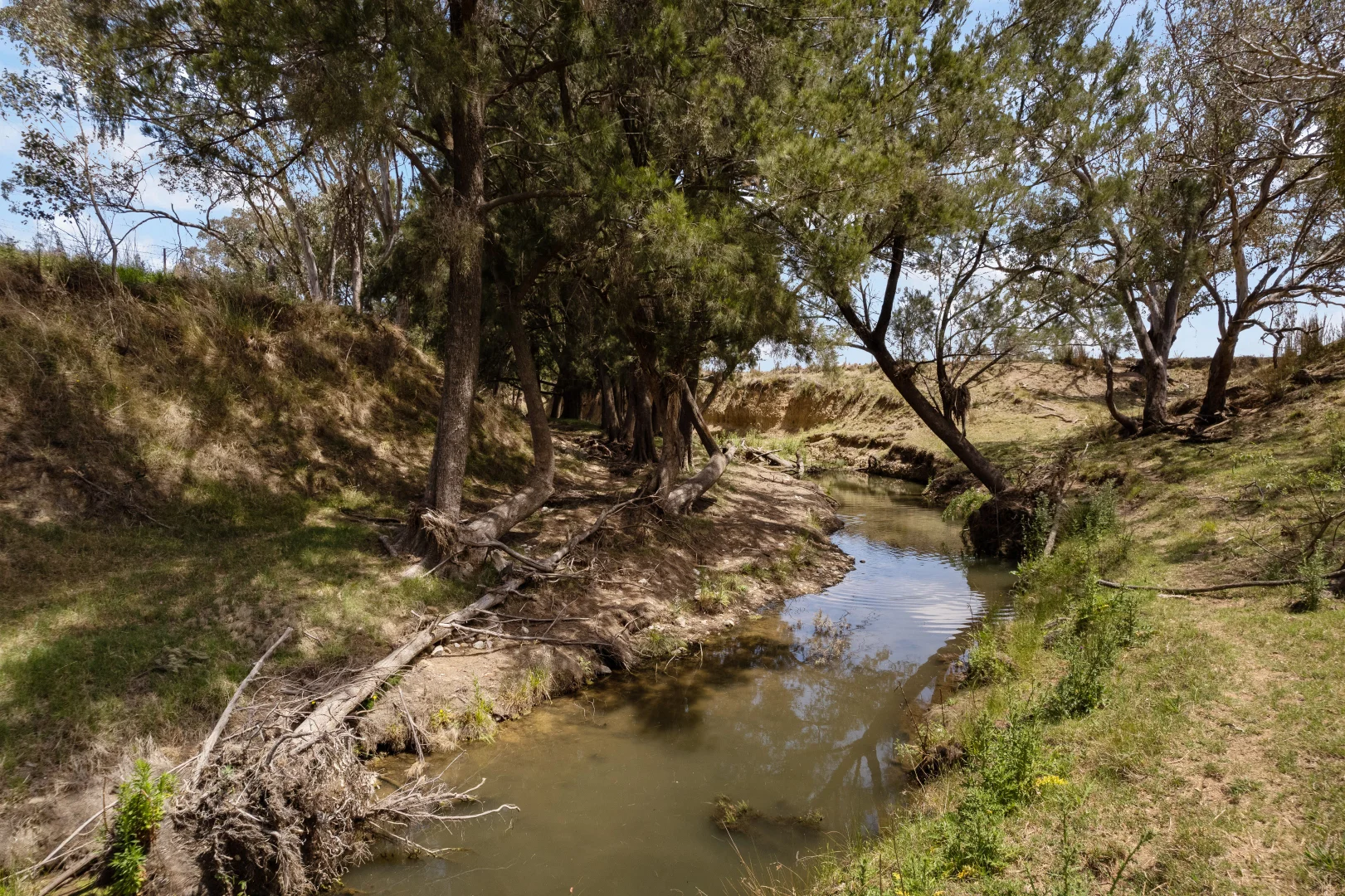 Image 15