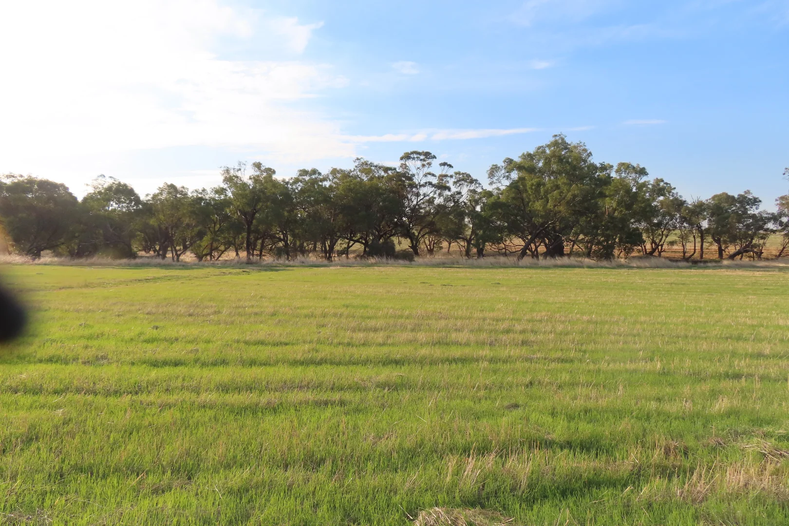 Additional image 3 of Lot 12 Barndon Street, Spencers Brook WA 6401