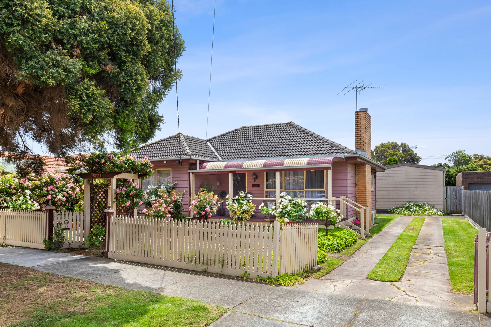 35 Truscott St, Whittington VIC 3219