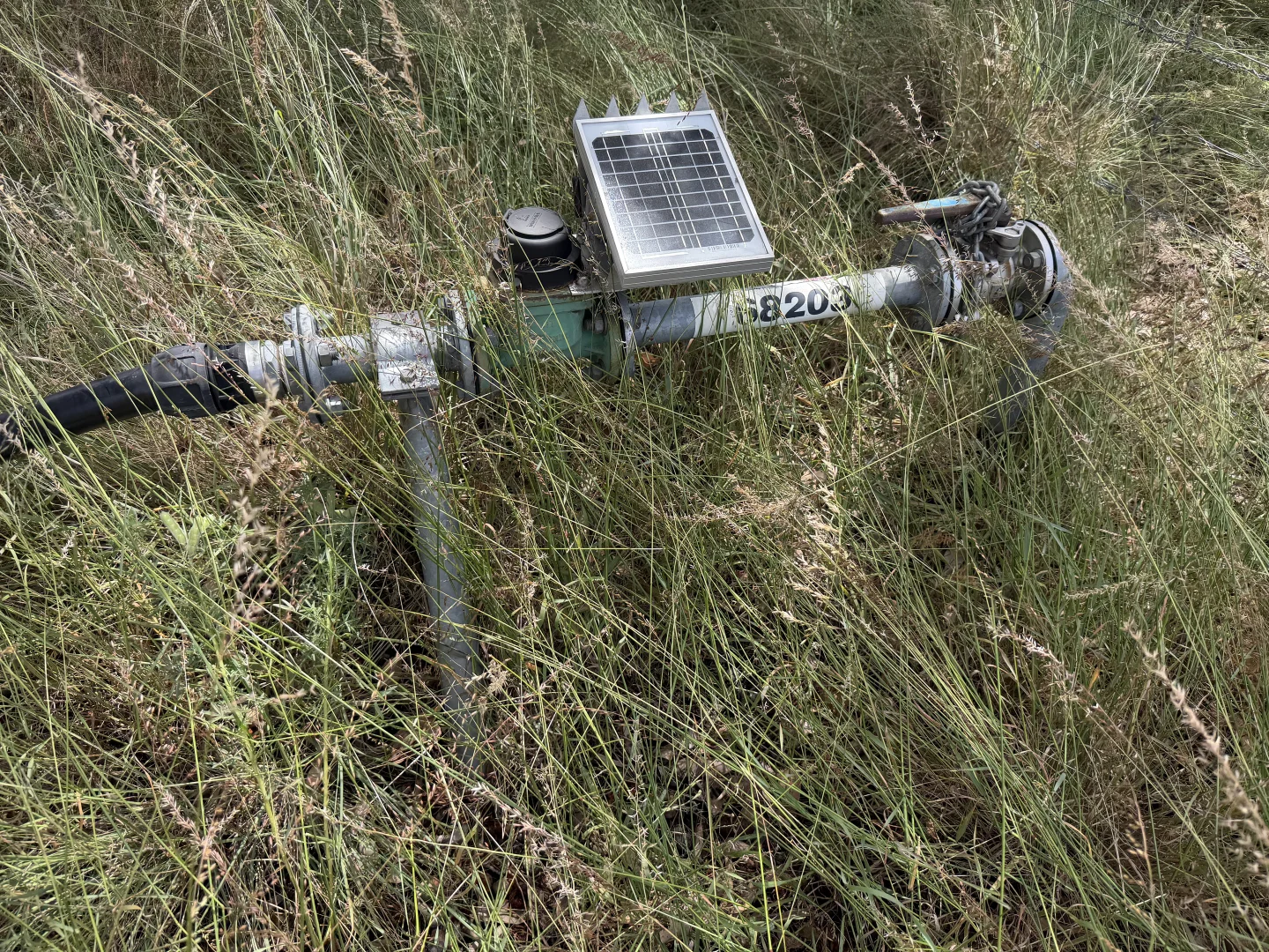 Image 6