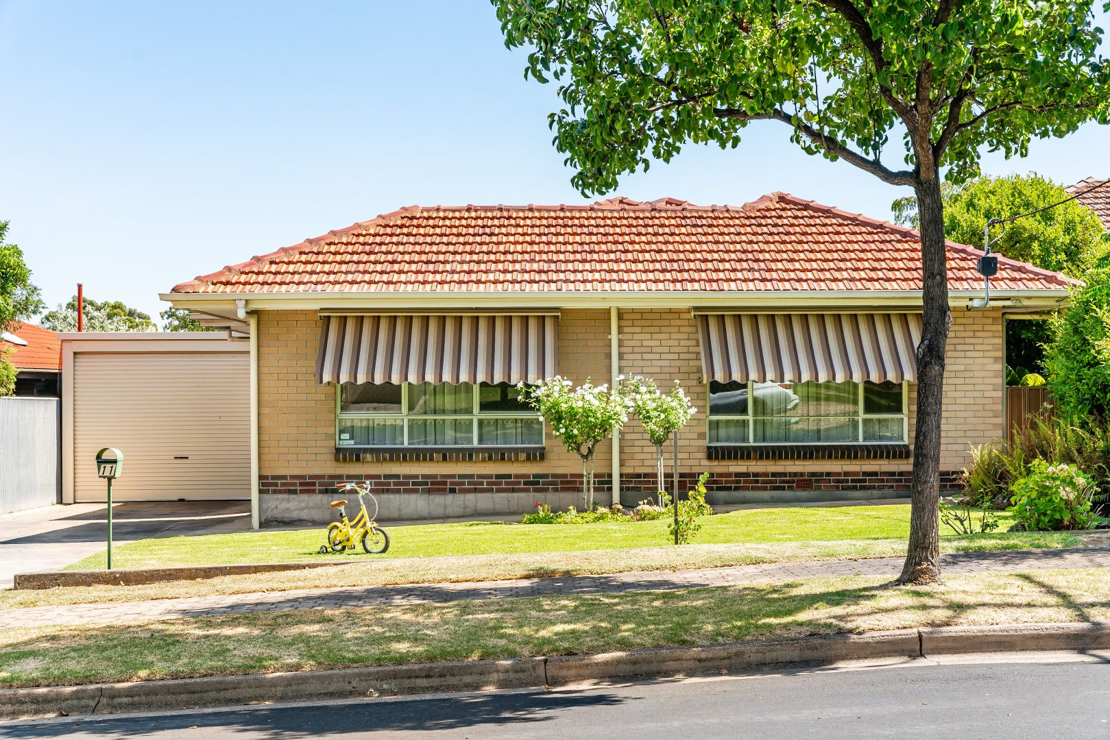 11 MILNE STREET, Vale Park SA 5081, Image 2